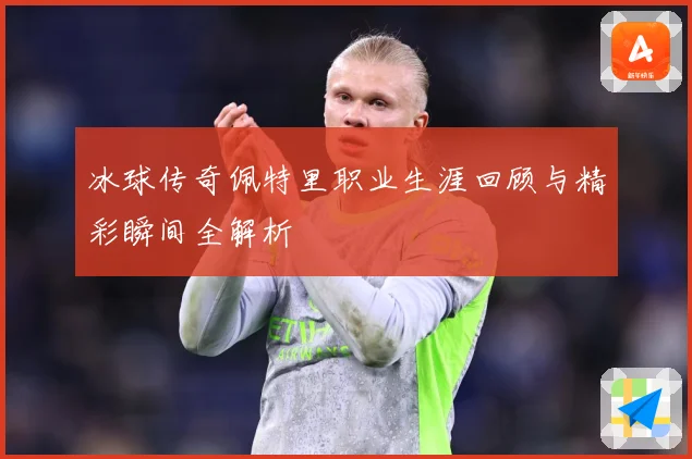 冰球传奇佩特里职业生涯回顾与精彩瞬间全解析