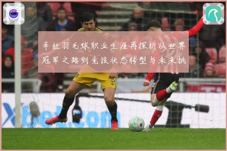 辛杜羽毛球职业生涯再探析从世界冠军之路到竞技状态转型与未来挑战
