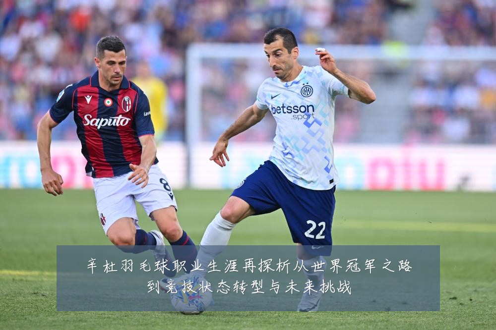 辛杜羽毛球职业生涯再探析从世界冠军之路到竞技状态转型与未来挑战