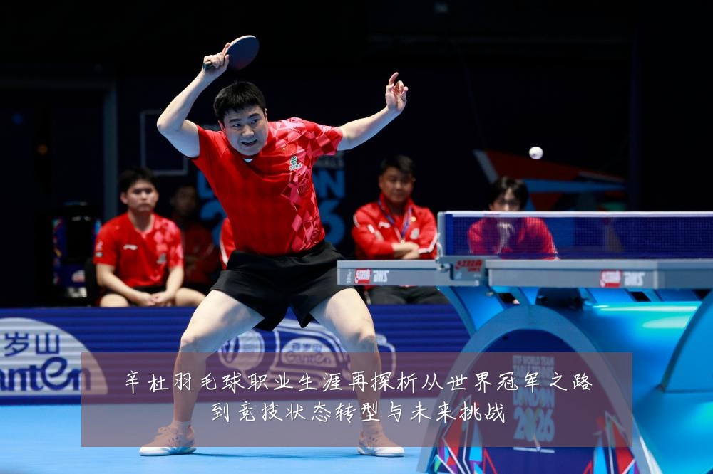 辛杜羽毛球职业生涯再探析从世界冠军之路到竞技状态转型与未来挑战